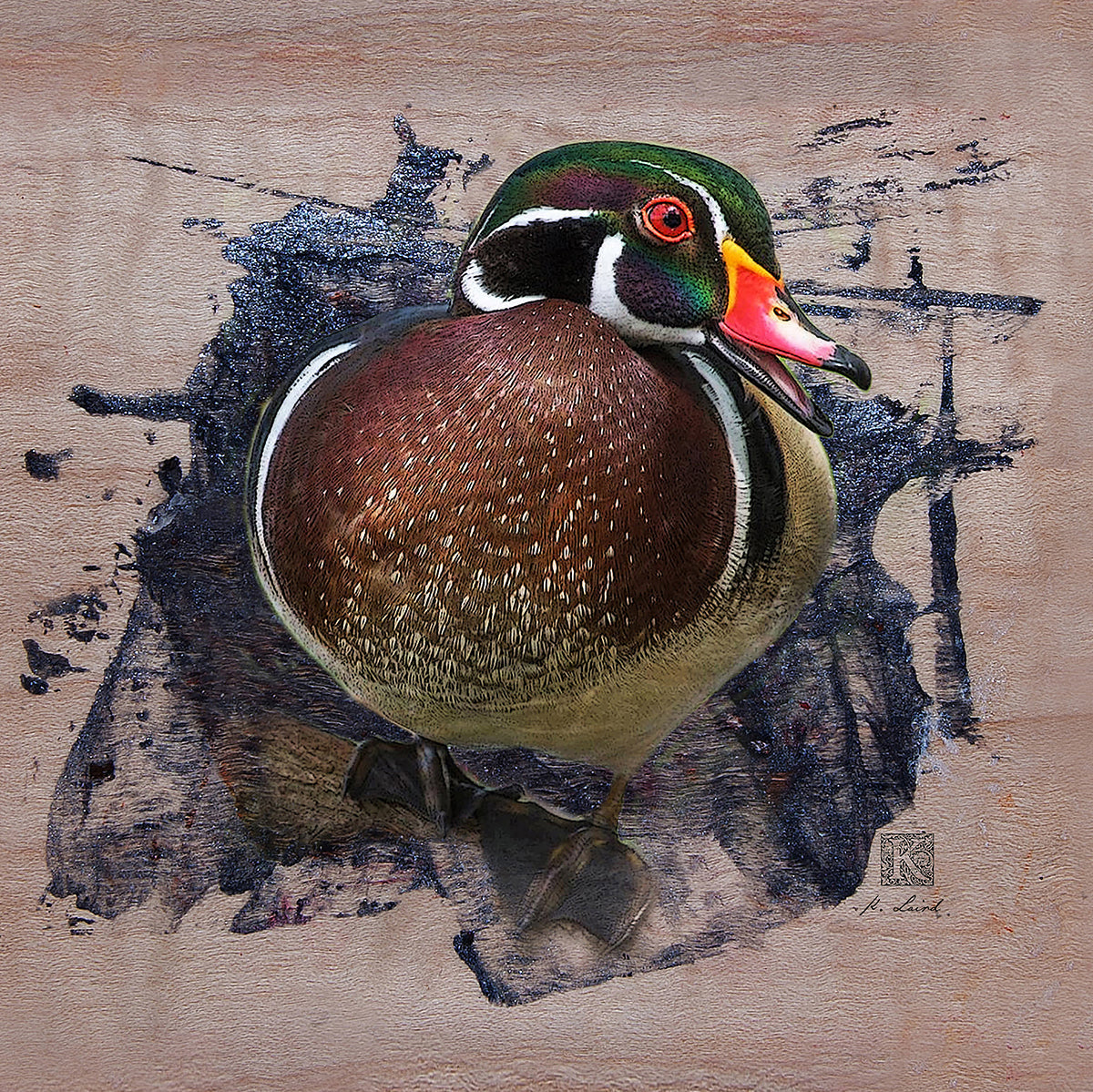 Kenneth Laird Studios  Wood Duck - Duck Call - Slammer Series