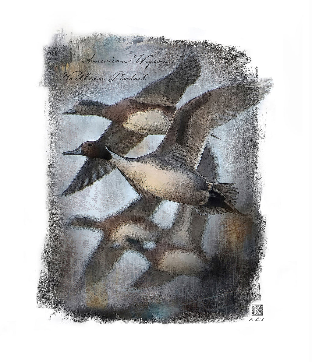 Kenneth Laird Collection Pintail/Widgeon Duck Call - Slammer Series